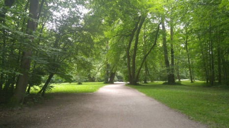 Englischer Garten trees